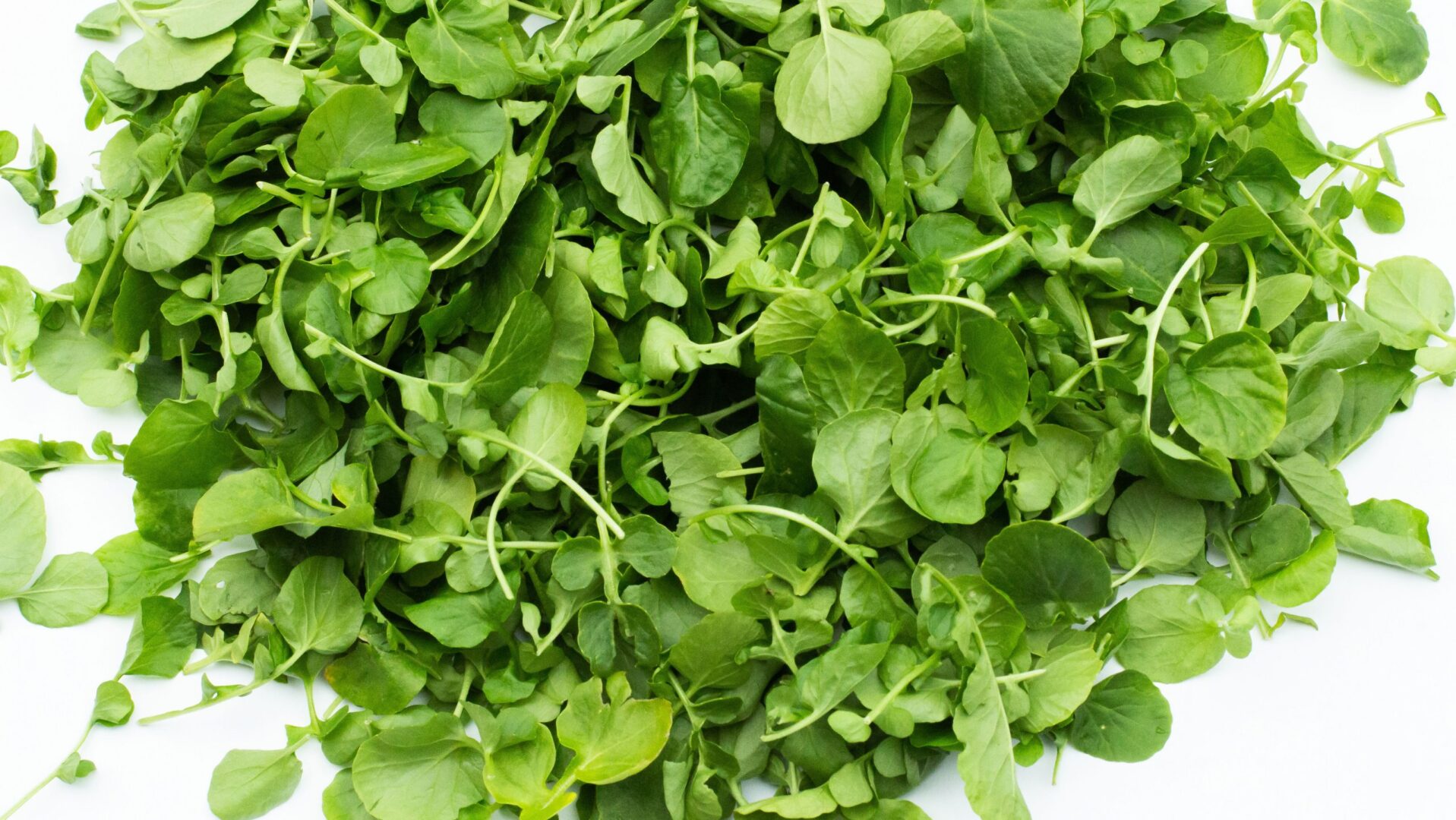 Watercress