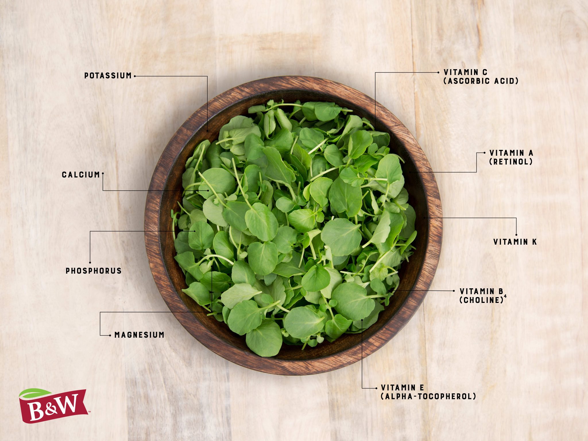 Watercress, The Superfood for Everyone